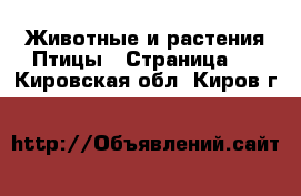 Животные и растения Птицы - Страница 2 . Кировская обл.,Киров г.